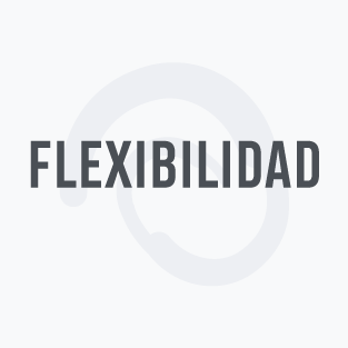 flexibilidad